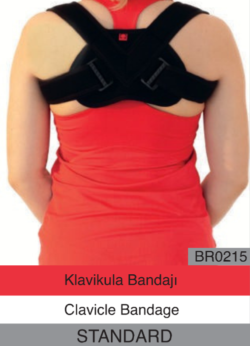 Klavikula Bandajı br0215 Standard
